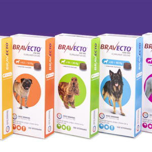 Bravecto Antiparasitario Externo