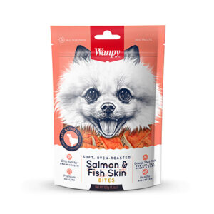 WANPY SALMON & FISH SKIN 100 GR